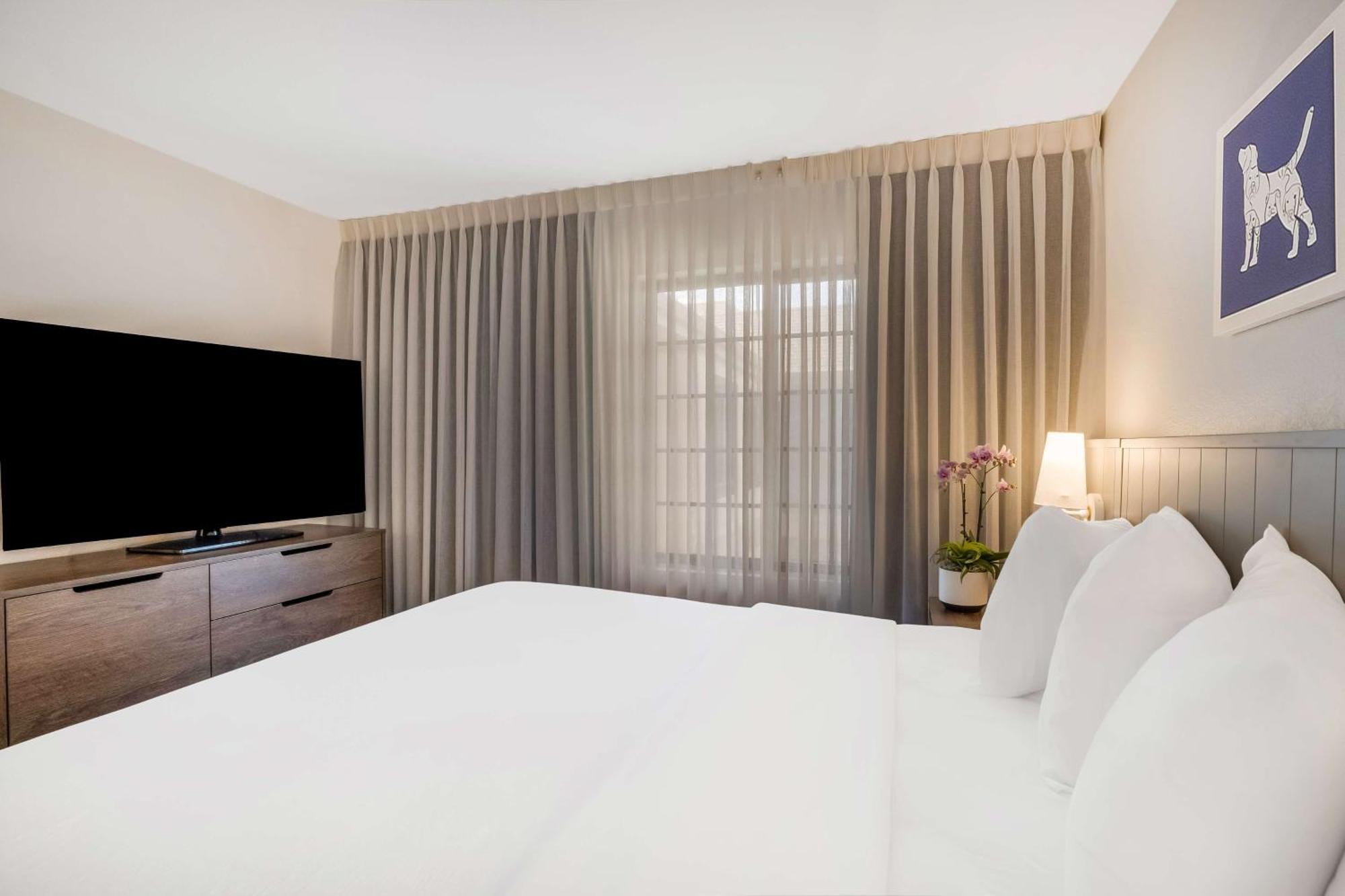 Sonesta Es Suites Denver South Park Meadows لون تري المظهر الخارجي الصورة
