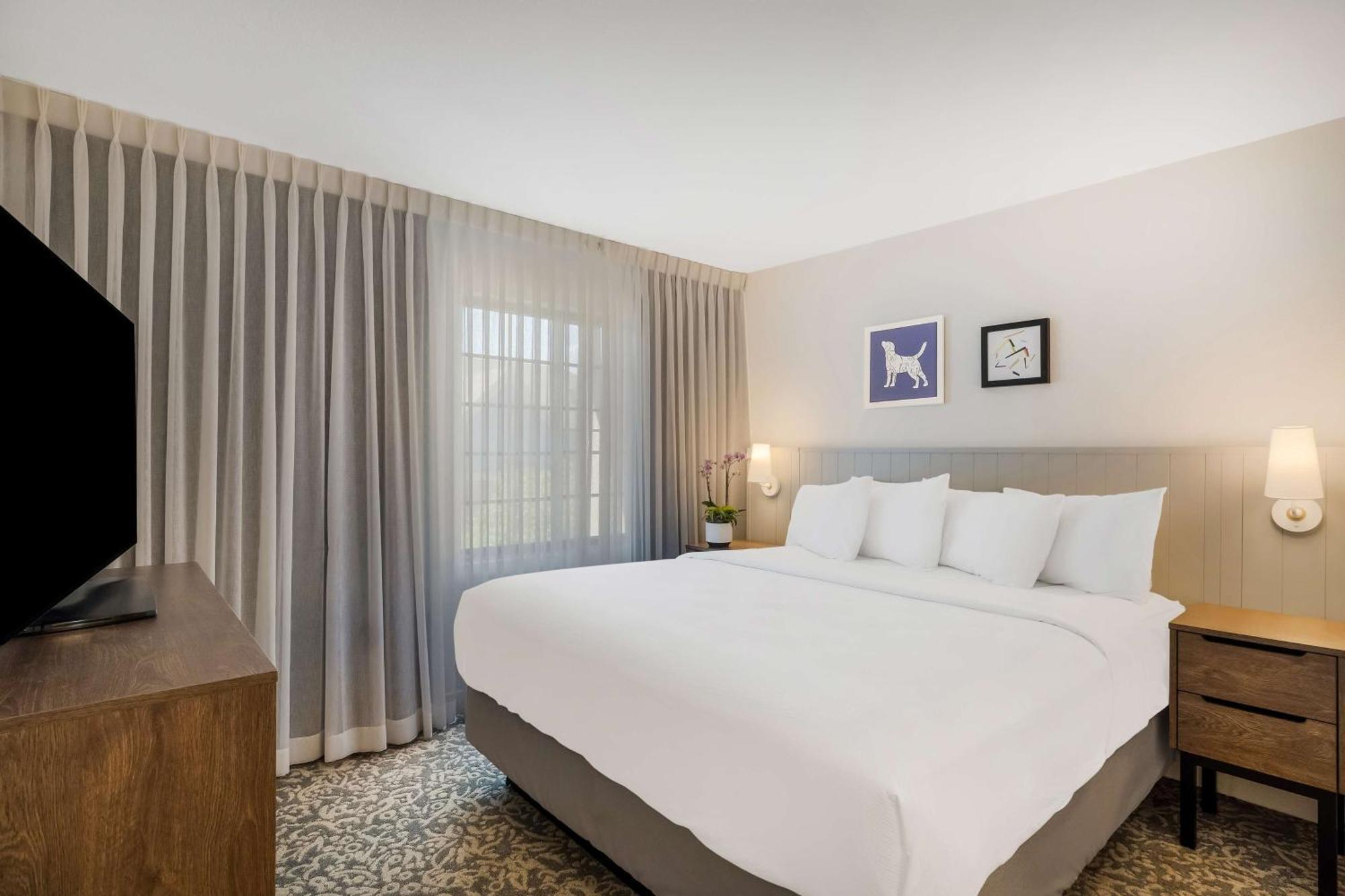 Sonesta Es Suites Denver South Park Meadows لون تري المظهر الخارجي الصورة