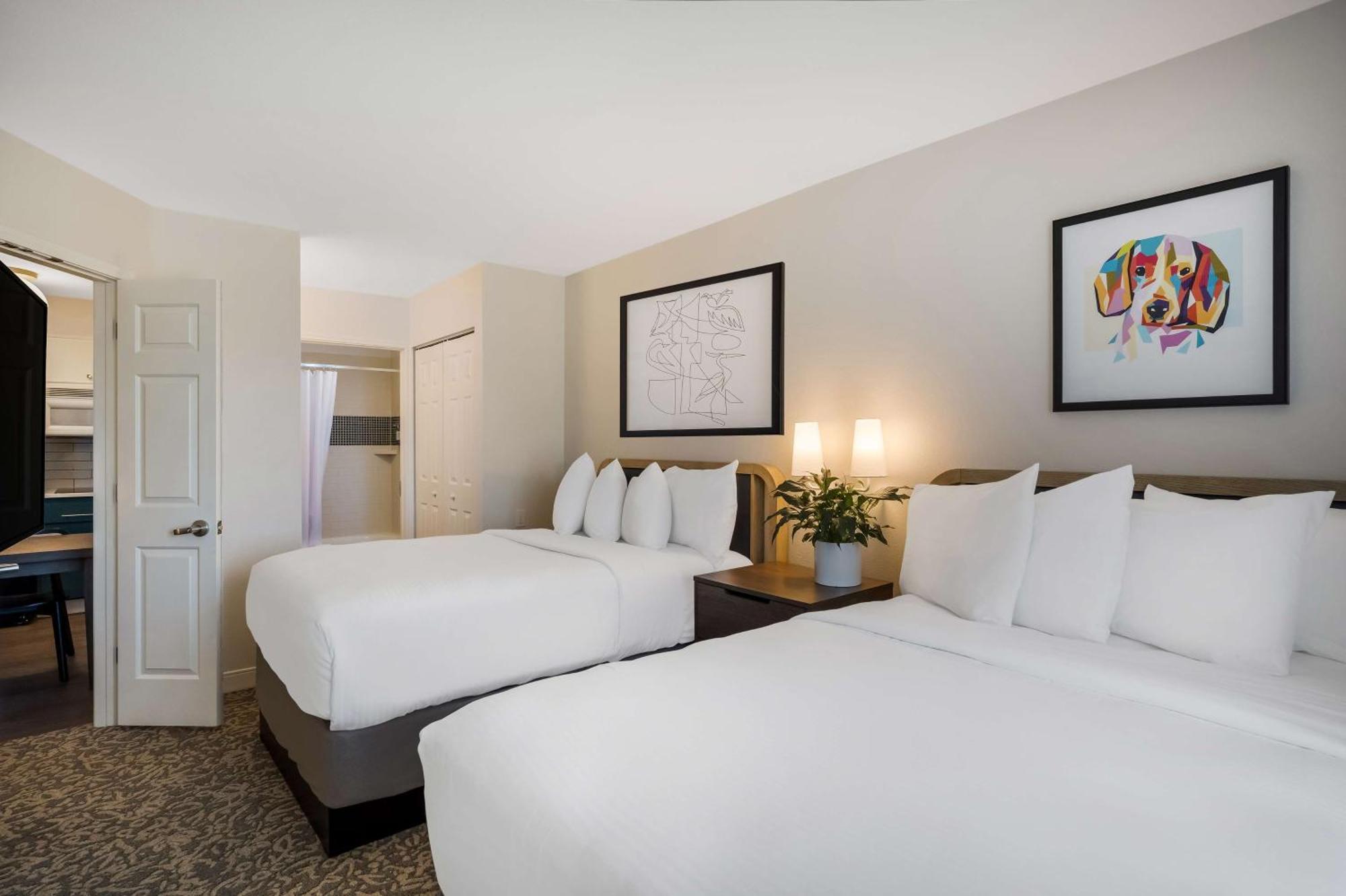 Sonesta Es Suites Denver South Park Meadows لون تري المظهر الخارجي الصورة